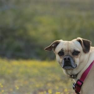 Meet your Posher, Pam